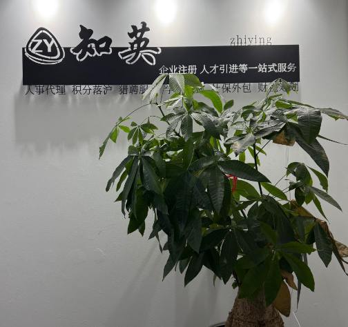文章插图